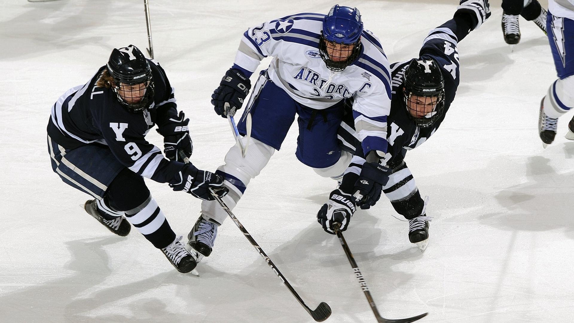 世界杯裁判团队接受专项培训以提升判罚精确度，世界杯裁判要求