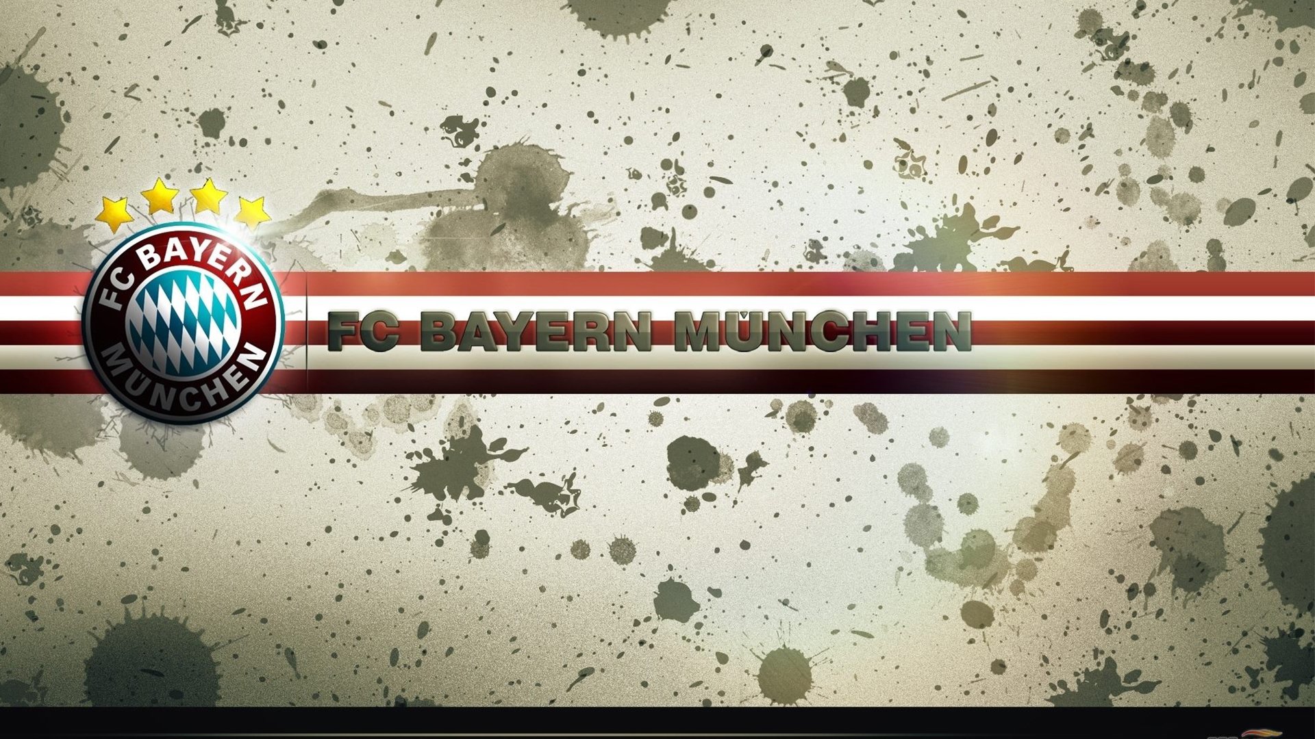 体育焦点报道引发粉丝热议，体育焦点事